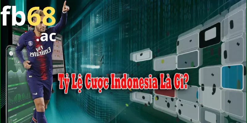 Tỷ lệ cược bóng đá Indonesia